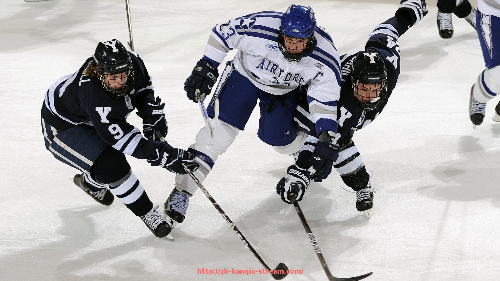 看球直播-世俱杯赞助资金预算控制体系及管理实务探讨