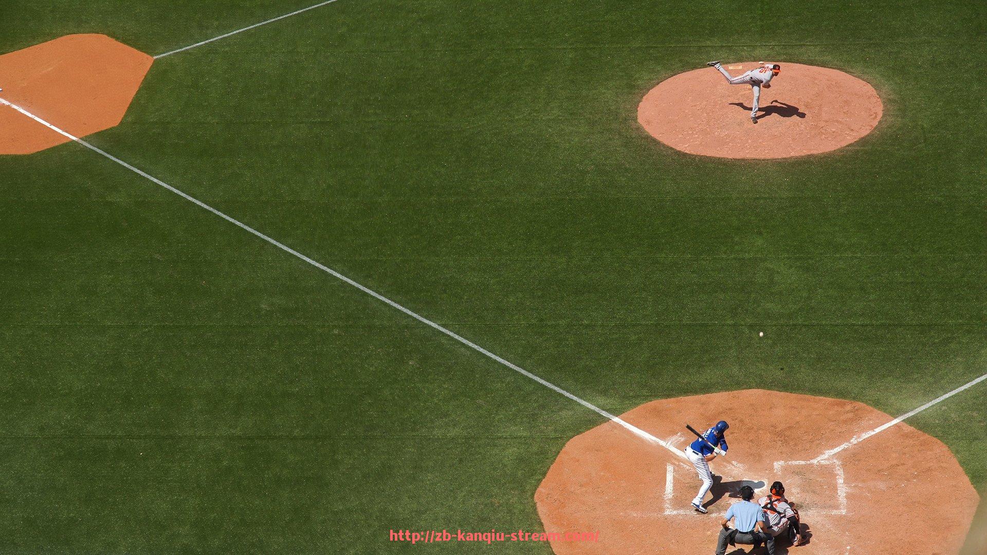 看球直播-健身房常见器材价格行情与采购建议